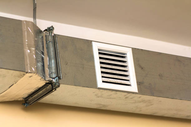 Best Local Air Duct Cleaning Services  in Bayport, MN